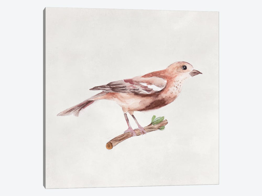 Bird Sketch IV by Melissa Wang 1-piece Canvas Wall Art