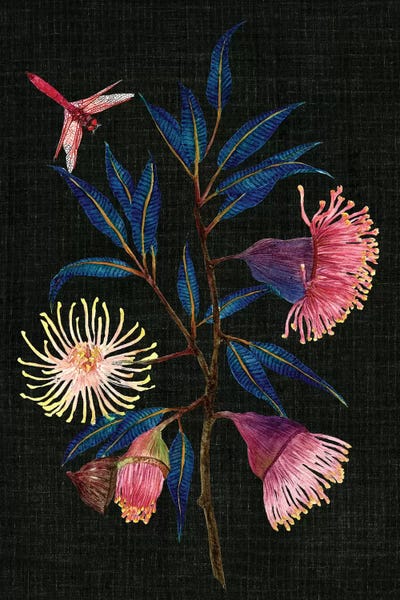 Gum Nuts I by Melissa Wang framed wall art