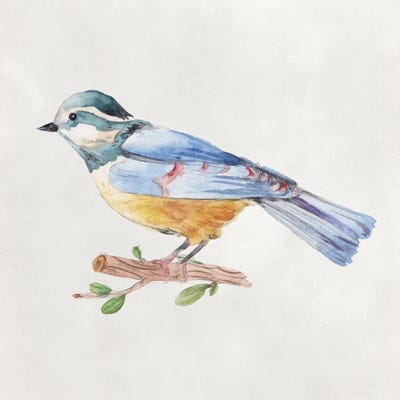Bird Sketch V by Melissa Wang framed wall art