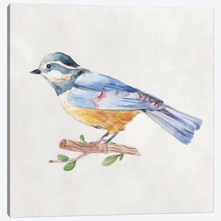 Bird Sketch V Canvas Print #WNG1300} by Melissa Wang Canvas Print