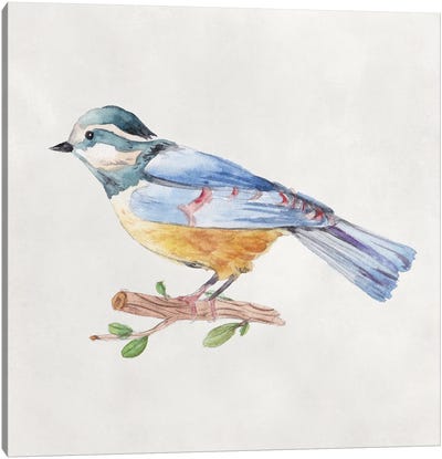Bird Sketch V Canvas Art Print - Melissa Wang