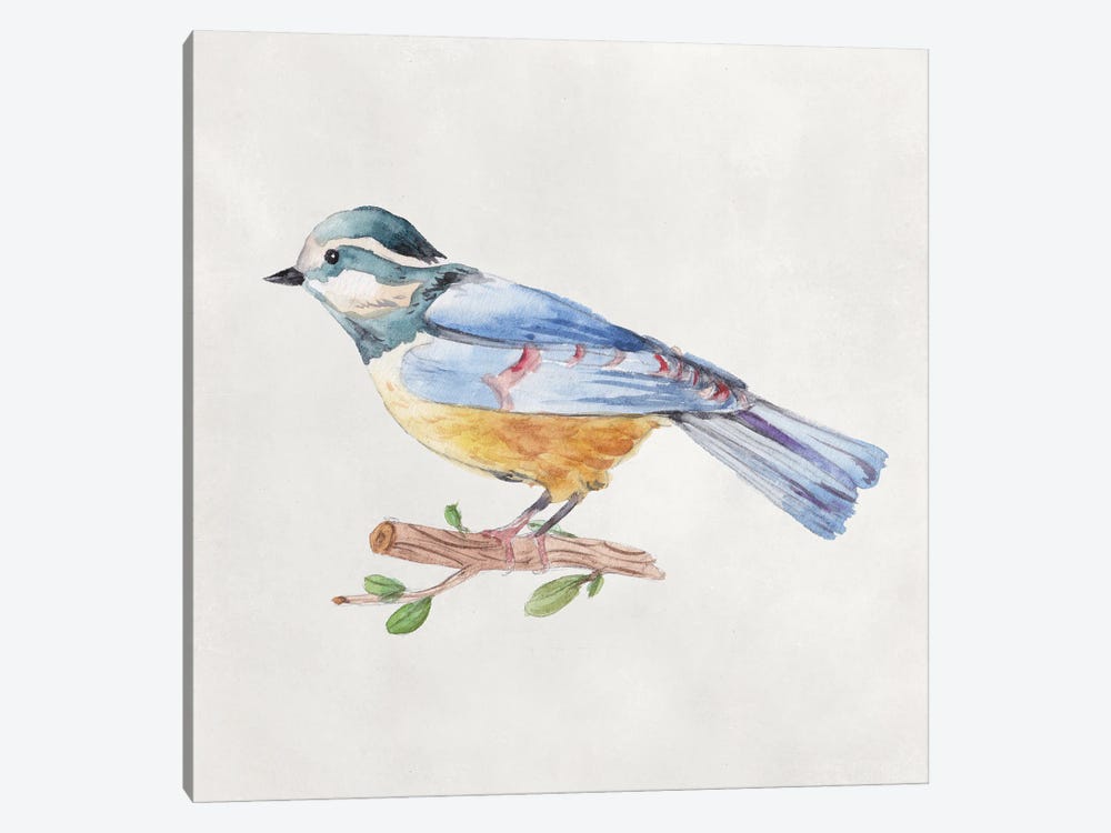 Bird Sketch V by Melissa Wang 1-piece Canvas Art Print