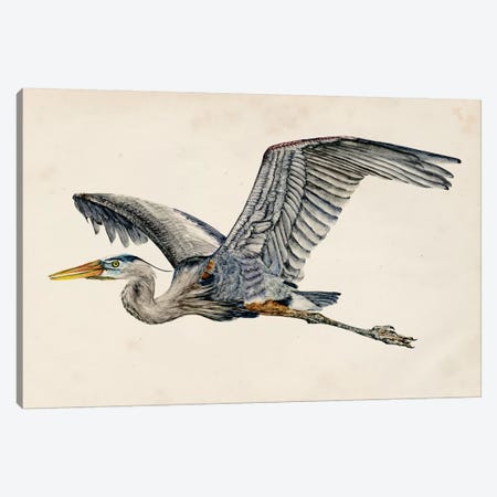 Blue Heron Rendering III Canvas Print #WNG131} by Melissa Wang Canvas Artwork