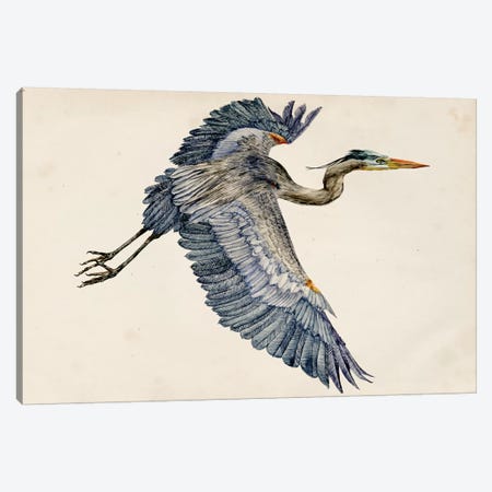 Blue Heron Rendering IV Canvas Print #WNG132} by Melissa Wang Canvas Art