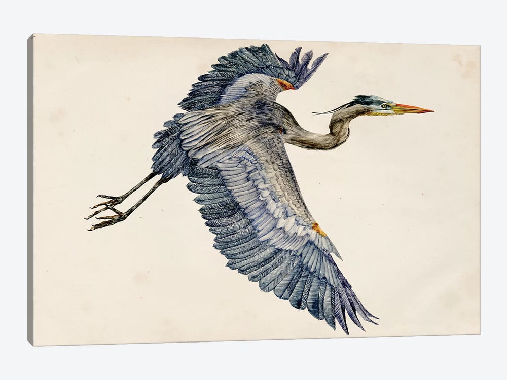 Blue Heron Rendering IV by Melissa Wang 1-piece Canvas Print
