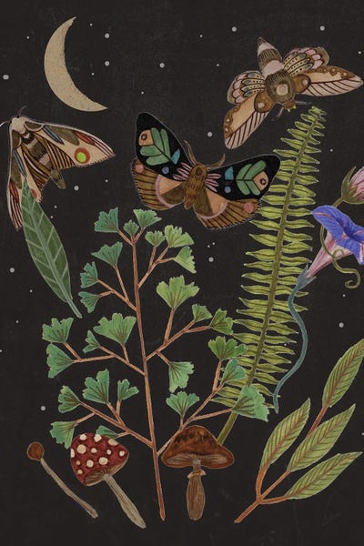 Moths: Dark Forest I by Melissa Wang