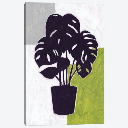 Green Plantling II Canvas Print #WNG1364} by Melissa Wang Canvas Wall Art
