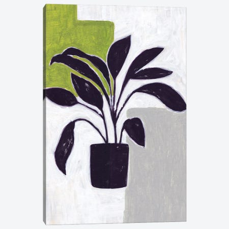 Green Plantling III Canvas Print #WNG1365} by Melissa Wang Canvas Wall Art