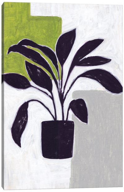 Green Plantling III Canvas Art Print - Melissa Wang