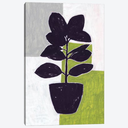 Green Plantling IV Canvas Print #WNG1366} by Melissa Wang Canvas Wall Art