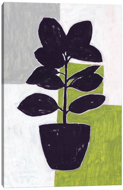 Green Plantling IV Canvas Art Print - Melissa Wang