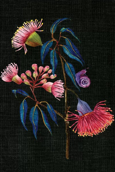 Gum Nuts II by Melissa Wang framed wall art