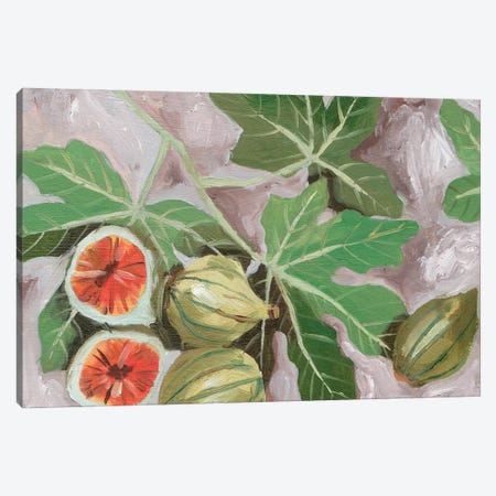 Decorative Fig I Canvas Print #WNG1554} by Melissa Wang Canvas Print