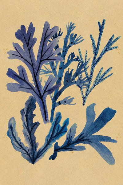 Coral: Underwater Forest IV by Melissa Wang