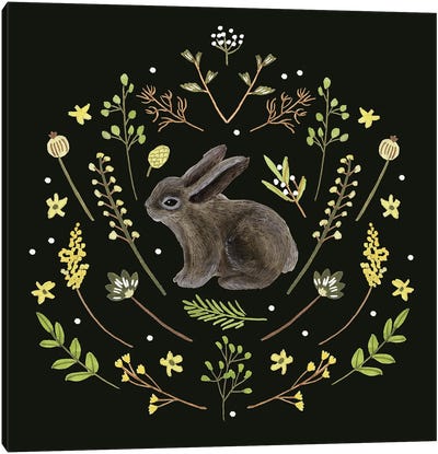 Bunny Field III Canvas Art Print - Easter Art