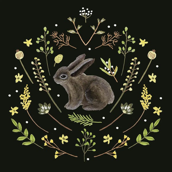 Rabbits: Bunny Field III by Melissa Wang