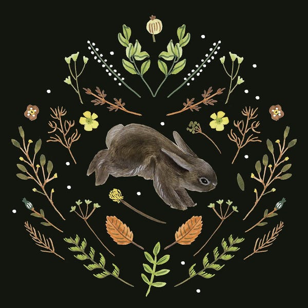 Rabbits: Bunny Field V by Melissa Wang