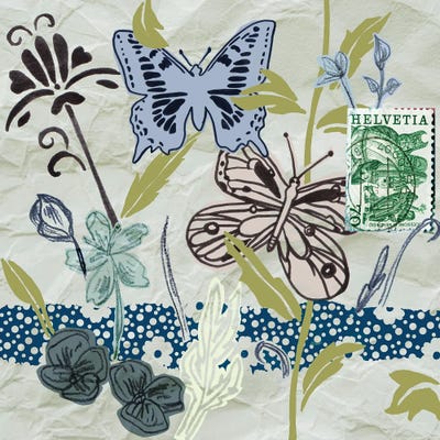 Fragile Wings I by Melissa Wang framed wall art