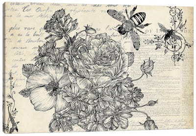 Ink Flowers II Canvas Art Print