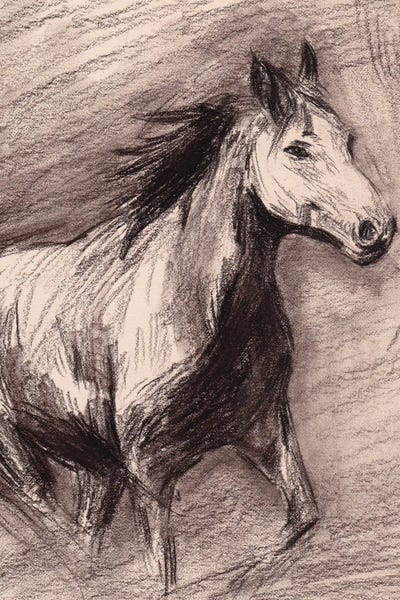 Melissa Wang: Echo Of Gallop I by Melissa Wang