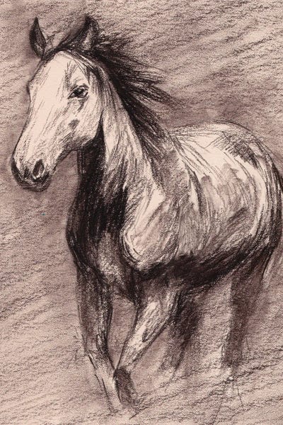 Melissa Wang: Echo Of Gallop II by Melissa Wang