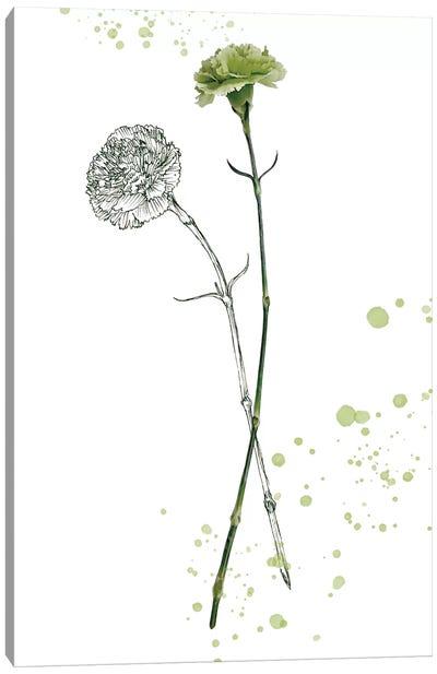 Botany Flower III Canvas Art Print
