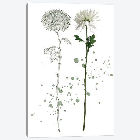 Botany Flower IV Canvas Print #WNG169} by Melissa Wang Art Print