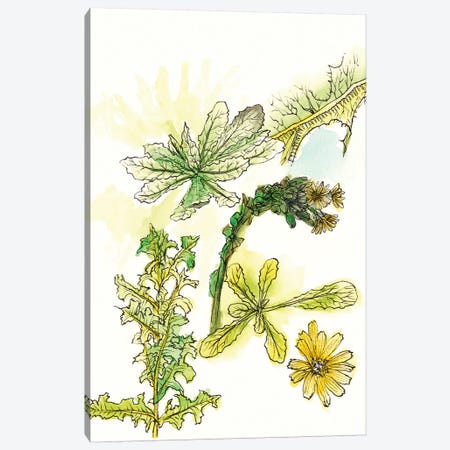 Floral Field Notes V Canvas Print #WNG205} by Melissa Wang Art Print