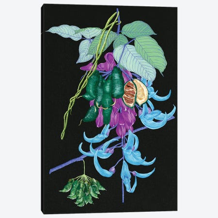 Jade Vine I Canvas Print #WNG210} by Melissa Wang Canvas Art Print