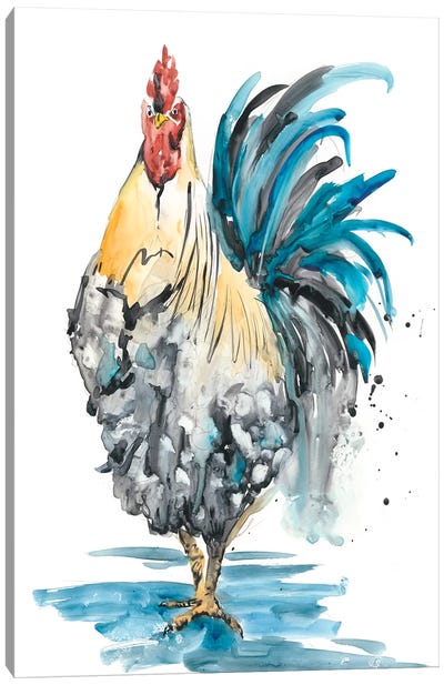 Rooster Splash II Canvas Art Print - Chicken & Rooster Art