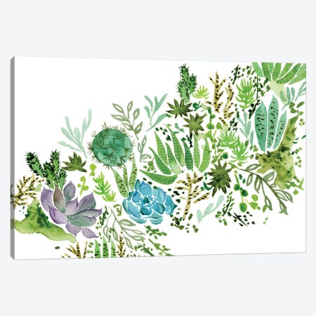 Succulent Field I Canvas Print #WNG249} by Melissa Wang Canvas Wall Art