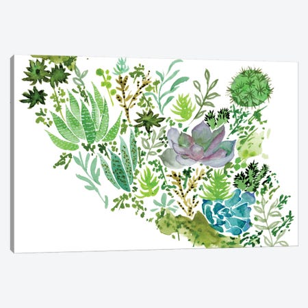 Succulent Field II Canvas Print #WNG250} by Melissa Wang Art Print
