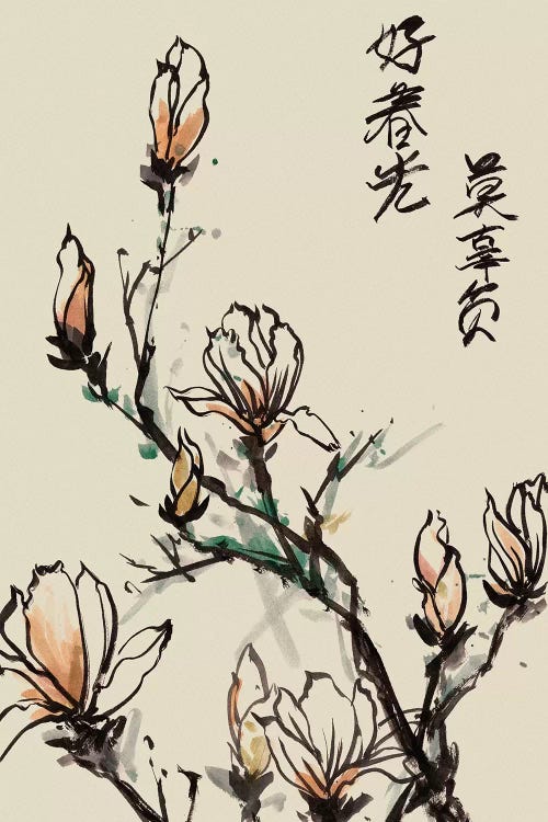 Mandarin Magnolia I