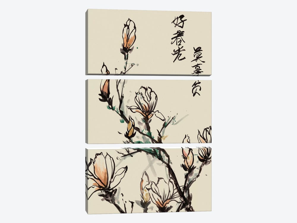 Mandarin Magnolia I by Melissa Wang 3-piece Canvas Art Print