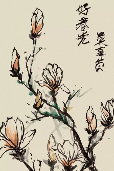 Magnolias: Mandarin Magnolia I by Melissa Wang