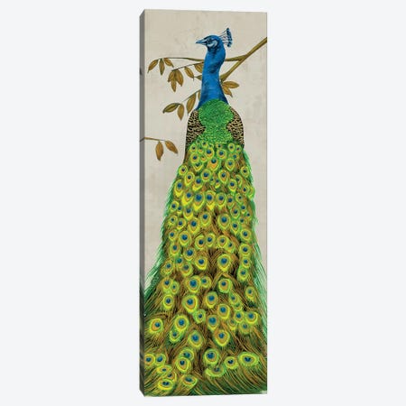 Vintage Peacock II Canvas Print #WNG271} by Melissa Wang Canvas Print