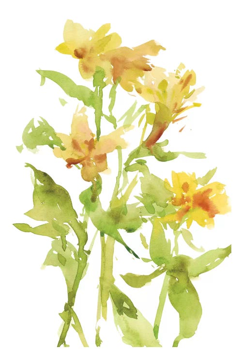 Watercolor Lilies II