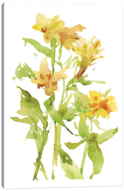 Watercolor Lilies II Canvas Art Print - Melissa Wang
