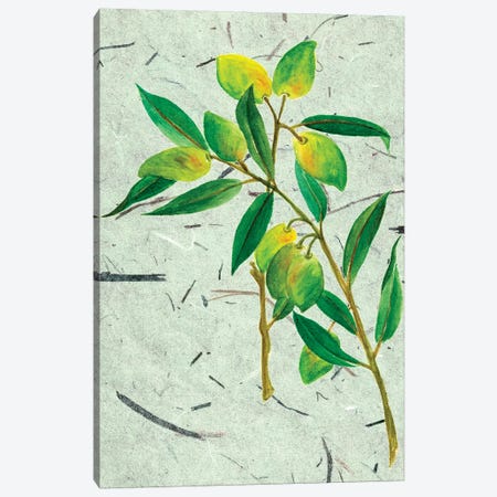 Olives On Textured Paper I Canvas Print #WNG27} by Melissa Wang Canvas Wall Art