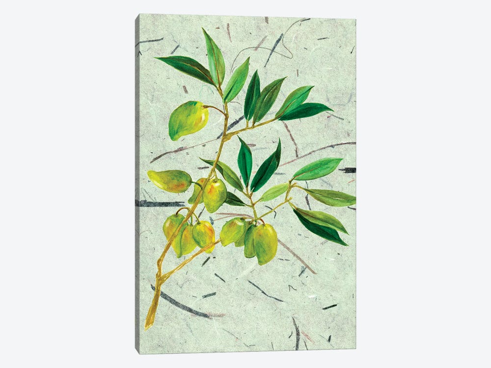 Olives On Textured Paper II 1-piece Canvas Art