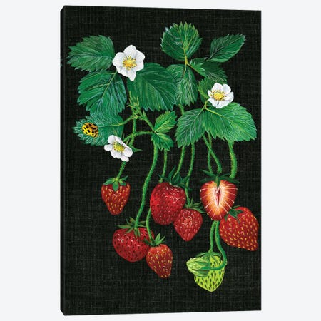 Strawberry Fields II Canvas Print #WNG30} by Melissa Wang Canvas Artwork