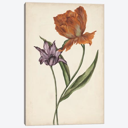 Two Tulips II Canvas Print #WNG347} by Melissa Wang Canvas Wall Art