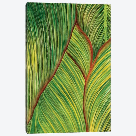 Tropical Crop II Canvas Print #WNG34} by Melissa Wang Canvas Art Print