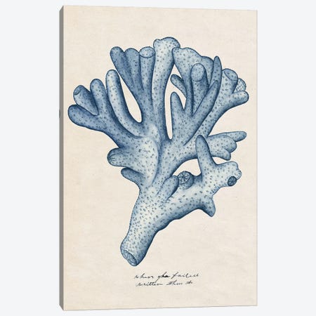 Sea Coral Study I Canvas Print #WNG376} by Melissa Wang Canvas Art Print