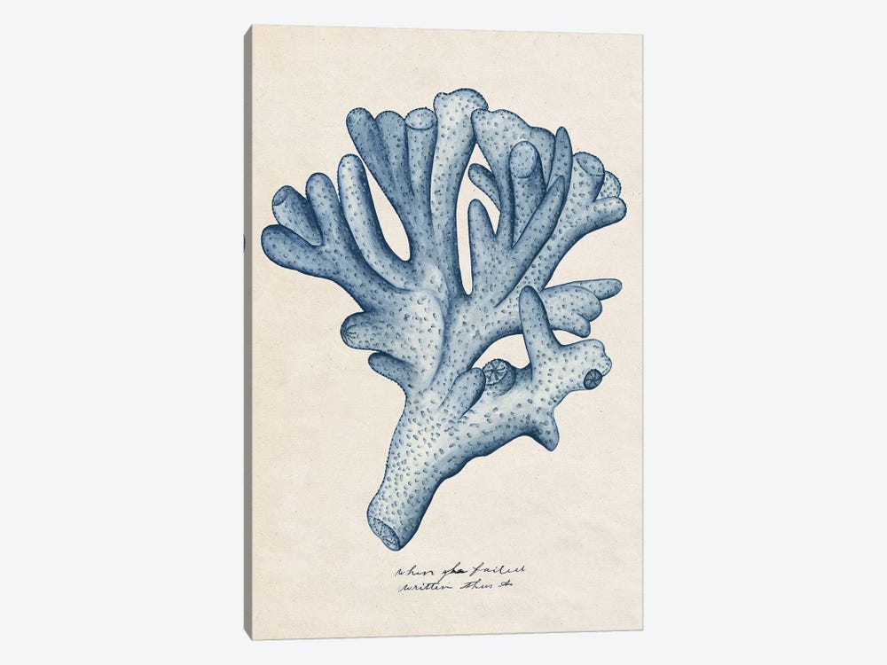 Sea Coral Study I by Melissa Wang 1-piece Canvas Artwork