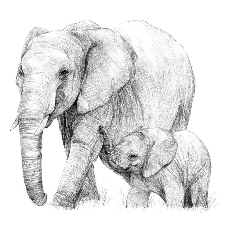 New Beginnings I by Melissa Wang wall art