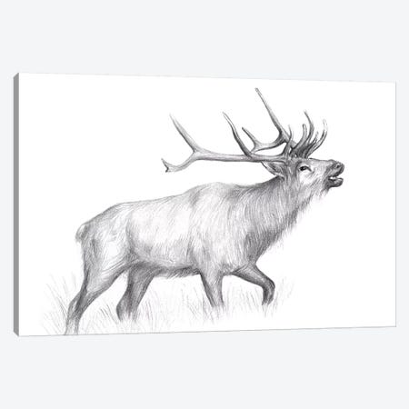 Wildlife Trail II Canvas Print #WNG463} by Melissa Wang Canvas Wall Art