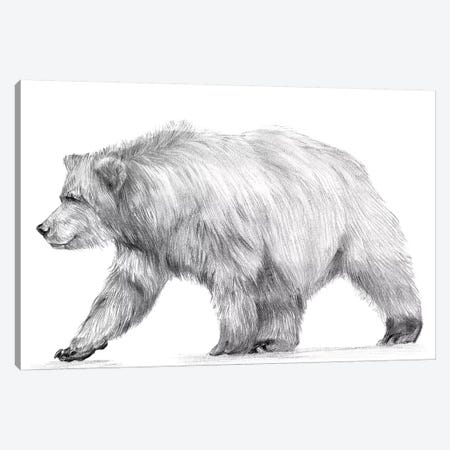 Wildlife Trail III Canvas Print #WNG464} by Melissa Wang Art Print