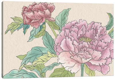 Peony Blooms I Canvas Art Print - Melissa Wang