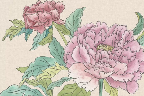 Peonies: Peony Blooms I by Melissa Wang